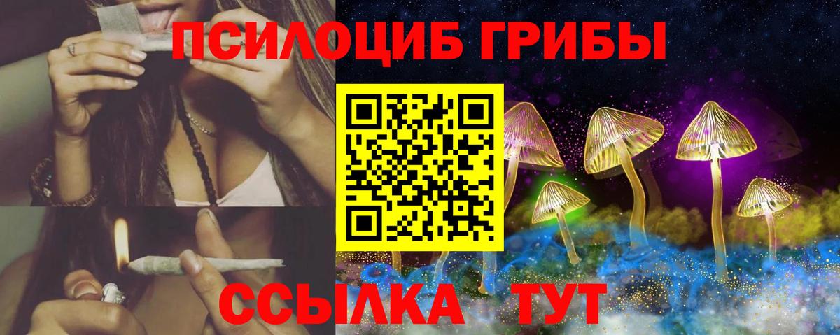 Псилоцибиновые грибы прущие грибы  Вход с VPN  Кирово-Чепецк 