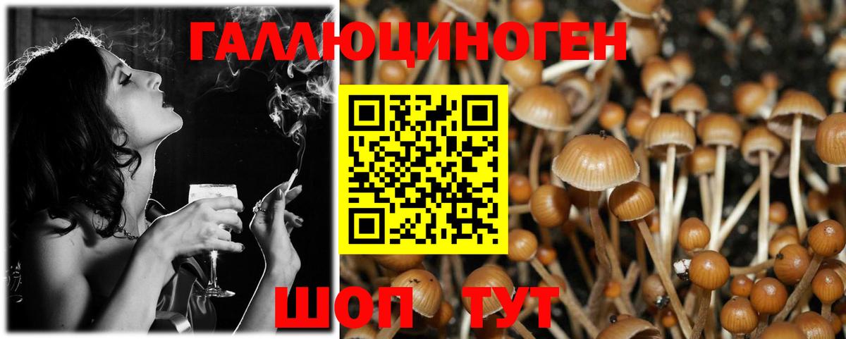 Псилоцибиновые грибы прущие грибы Кирово-Чепецк
