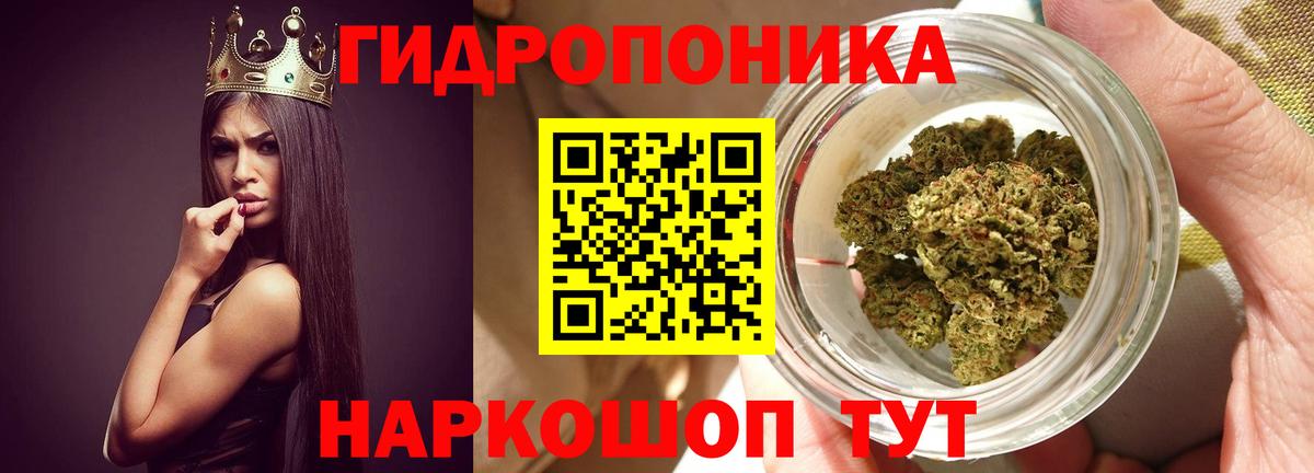 Кирово-Чепецк  Бошки Шишки индика  Вход с VPN  МАРИХУАНА конопля 